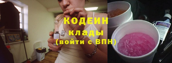 гашик Алзамай