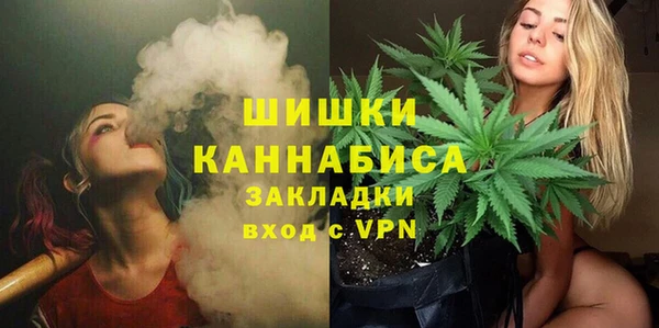 гашик Алзамай