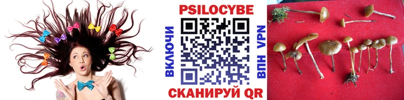 мега ссылки  Ува  Псилоцибиновые грибы GOLDEN TEACHER 